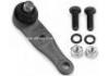 Ball Joint:B092-34-550