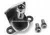 Ball Joint:7M3407365A