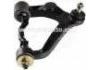 Control Arm:48067-29075