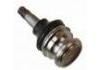 Ball Joint:7210-67003